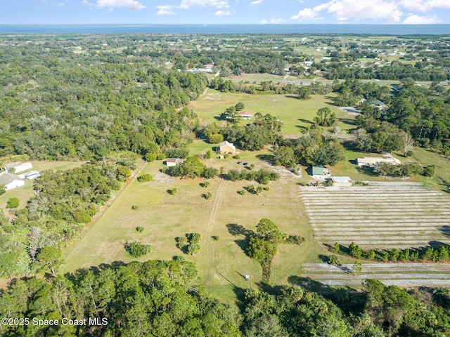 4625 Addie Ave, Mims, FL 32754 - photo 30