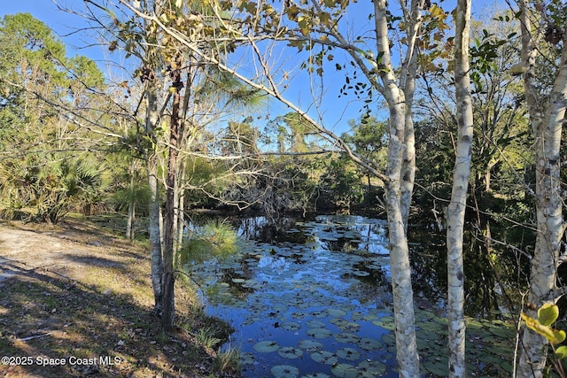 view of nature