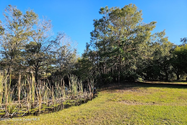 4625 Addie Ave, Mims, FL 32754 - photo 27