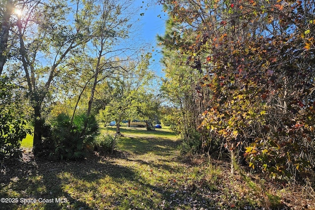 4625 Addie Ave, Mims, FL 32754 - photo 25