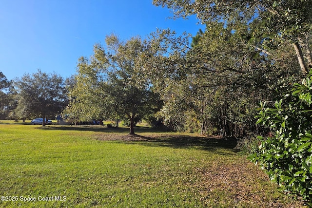 4625 Addie Ave, Mims, FL 32754 - photo 28