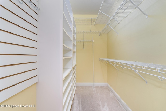 spacious closet with light colored carpet