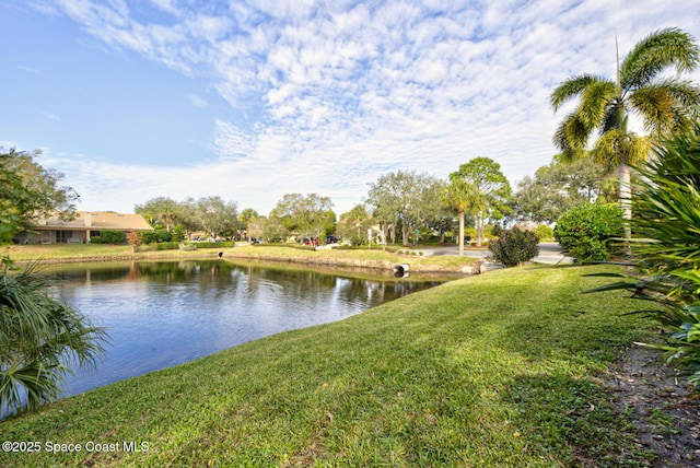 view of water feature