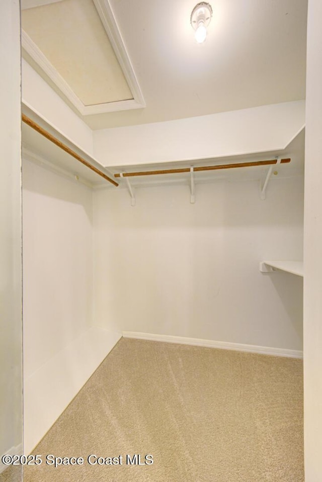 walk in closet with carpet