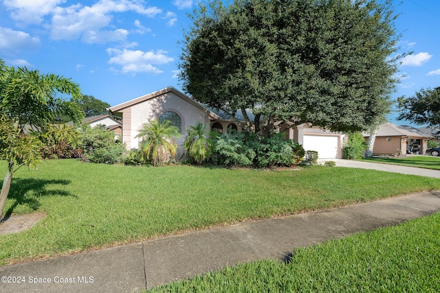 view of property hidden behind natural elements featuring a garage and a front lawn