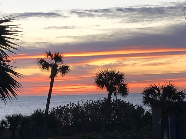 nature at dusk with a water view