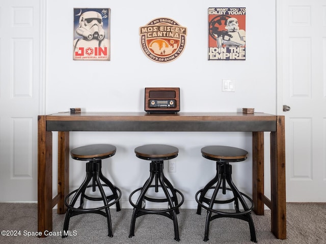 bar featuring carpet floors