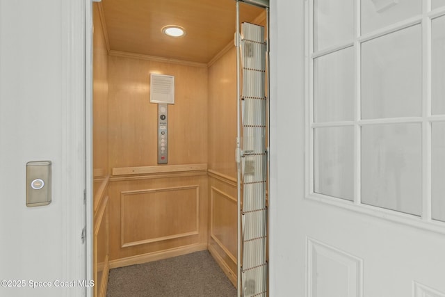 interior details with elevator and carpet floors