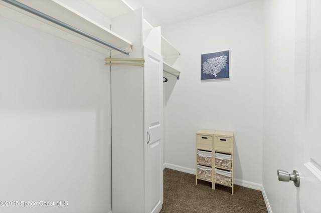 spacious closet featuring dark colored carpet