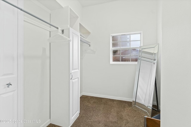 spacious closet featuring dark colored carpet