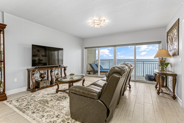 living room with a wealth of natural light, light hardwood / wood-style flooring, and a textured ceiling