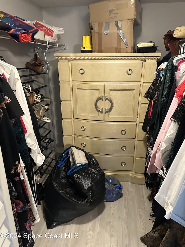 spacious closet with light hardwood / wood-style flooring