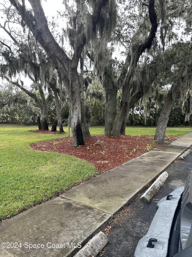 exterior space with a yard