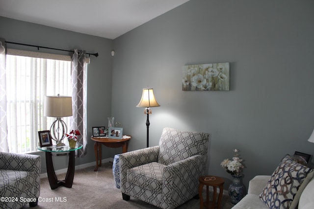 living area featuring carpet flooring and plenty of natural light