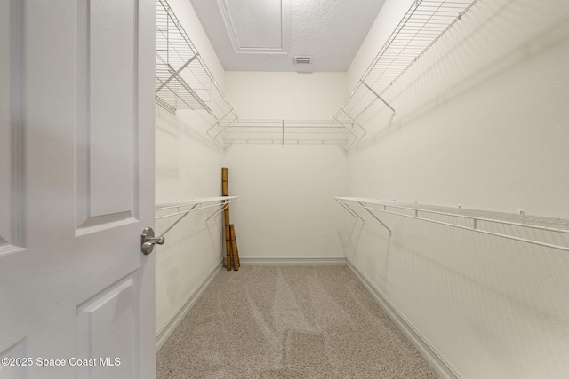 spacious closet featuring light colored carpet