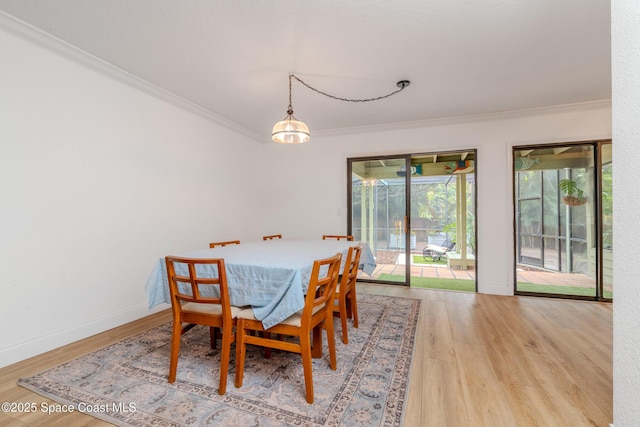 dining room featuring light wood-type flooring and crown molding