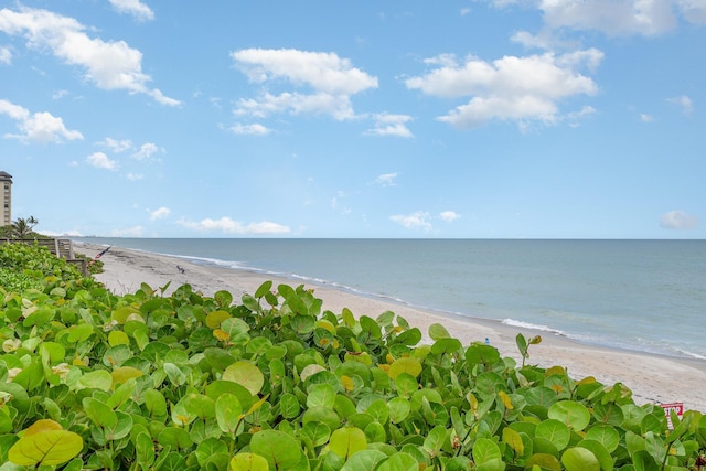 view of water feature featuring a beach view