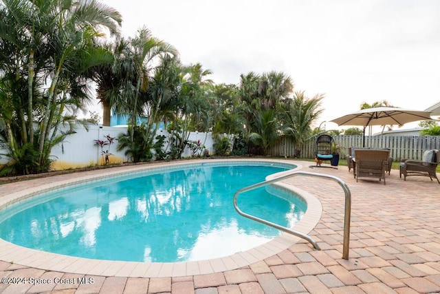 view of swimming pool featuring a patio area