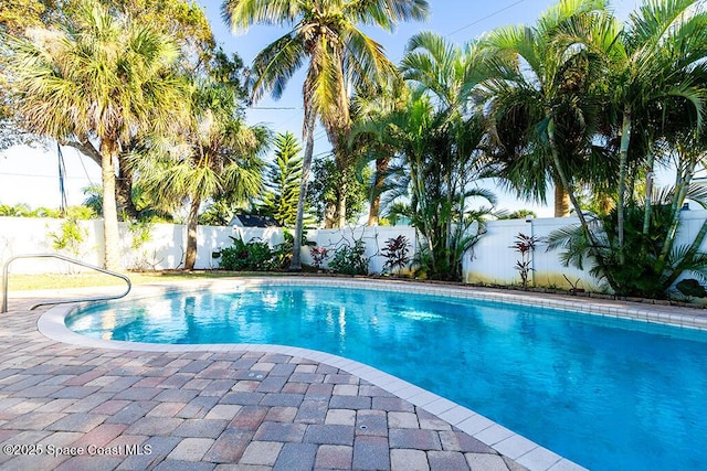 view of swimming pool with a patio area