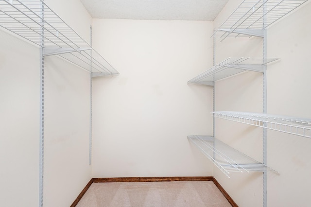 walk in closet with light colored carpet