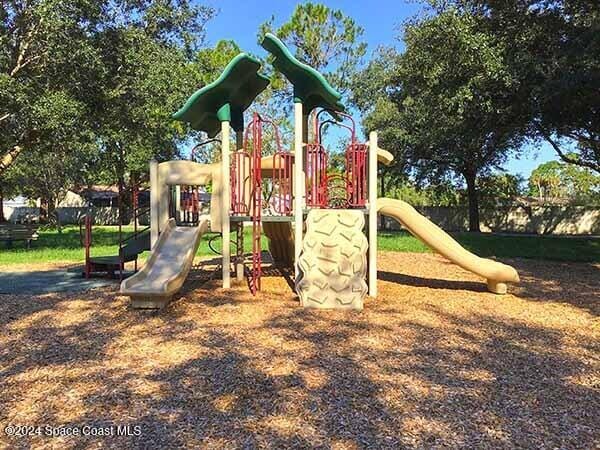 view of jungle gym