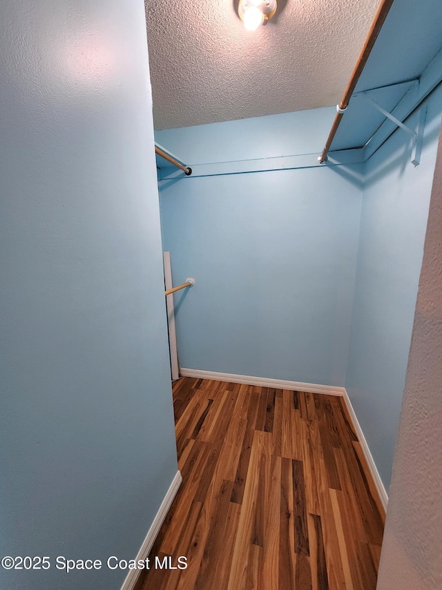 spacious closet featuring wood-type flooring