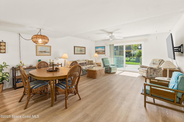 dining space with light hardwood / wood-style flooring and ceiling fan with notable chandelier