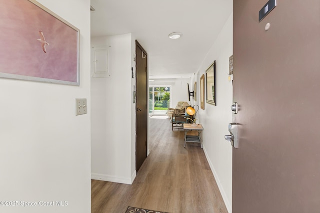 corridor with wood-type flooring