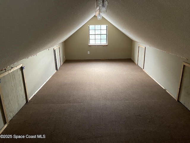 additional living space with a textured ceiling, lofted ceiling, and light carpet