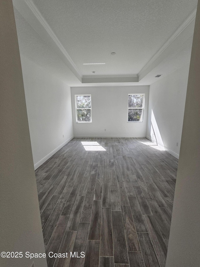 spare room with dark hardwood / wood-style flooring, a raised ceiling, a textured ceiling, and a wealth of natural light