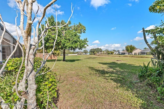 view of yard