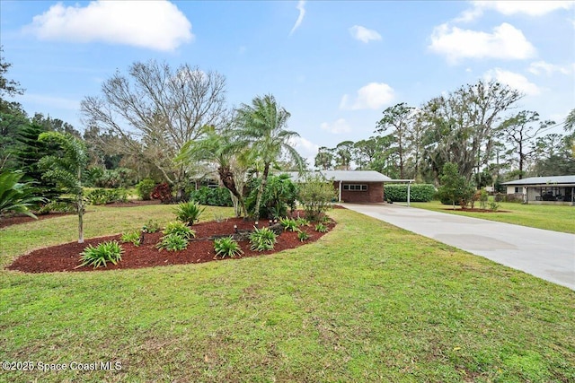 view of front facade with a carport and a front lawn