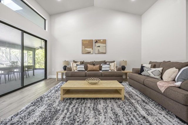 living room featuring wood-type flooring and high vaulted ceiling