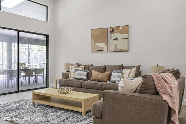 living room featuring wood-type flooring