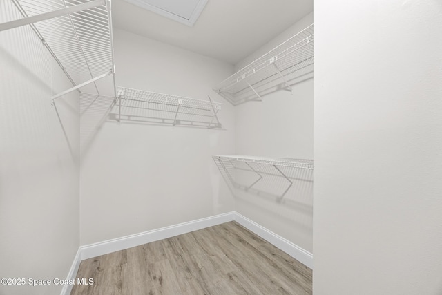 spacious closet featuring hardwood / wood-style floors