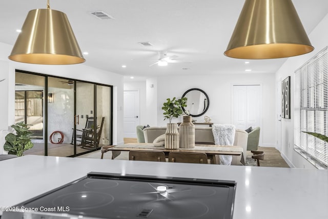 kitchen featuring cooktop, hardwood / wood-style flooring, and ceiling fan