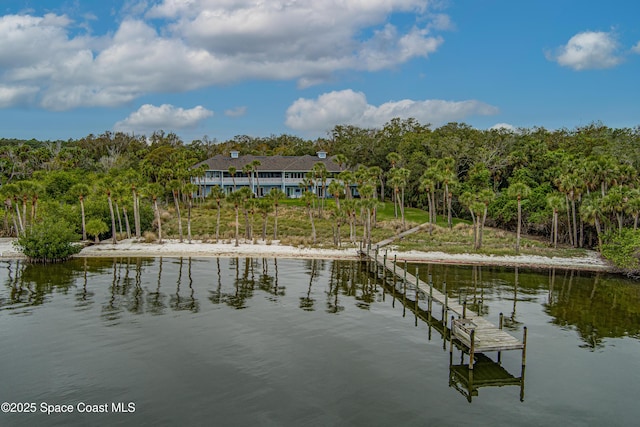 dock area with a water view