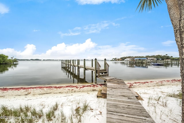 dock area with a water view