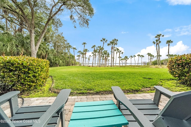 view of yard featuring a patio