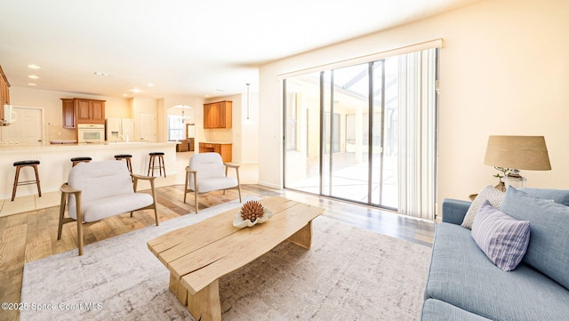 living room featuring light hardwood / wood-style flooring