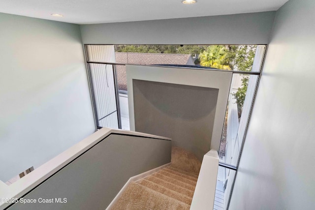 stairway with carpet floors