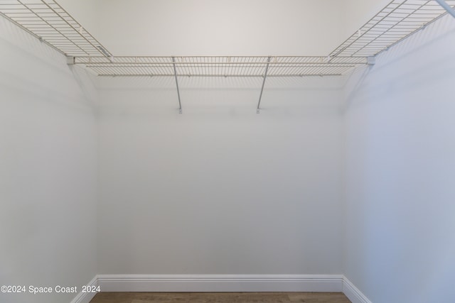 walk in closet featuring hardwood / wood-style flooring