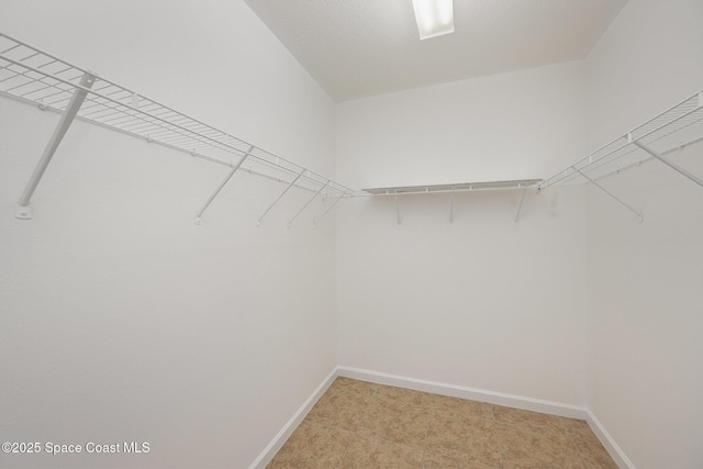 walk in closet with light carpet