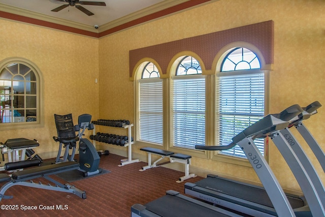 exercise area with carpet flooring, ceiling fan, a healthy amount of sunlight, and crown molding