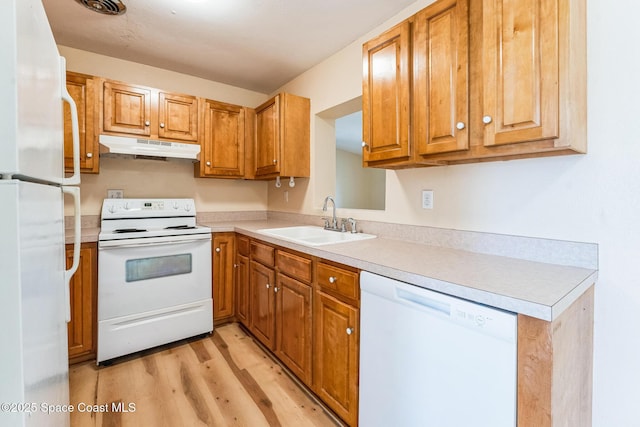 kitchen featuring sink, white appliances, and light hardwood / wood-style flooring