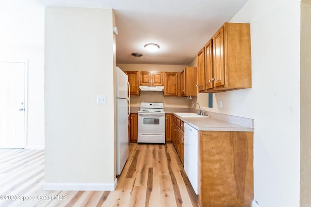 kitchen with light wood-type flooring, white appliances, and sink