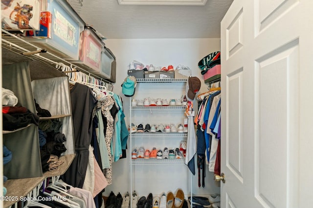 view of walk in closet