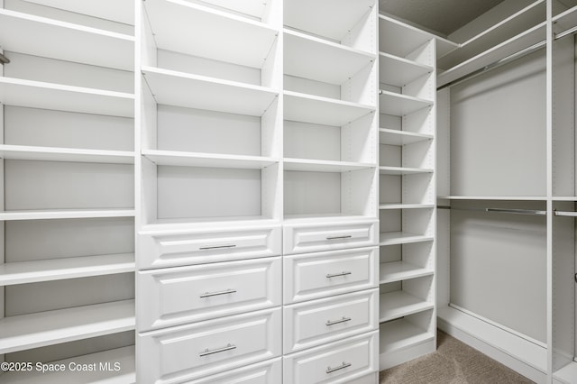 walk in closet with carpet floors