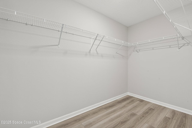 spacious closet with hardwood / wood-style floors