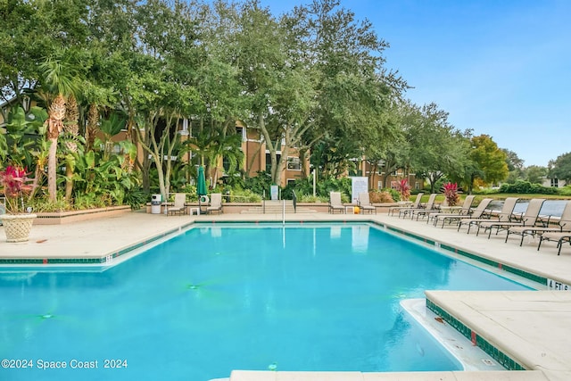 view of swimming pool featuring a patio area